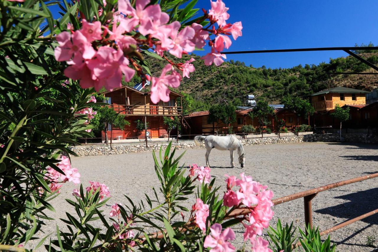 Oranj Ranch Hotel كمر المظهر الخارجي الصورة