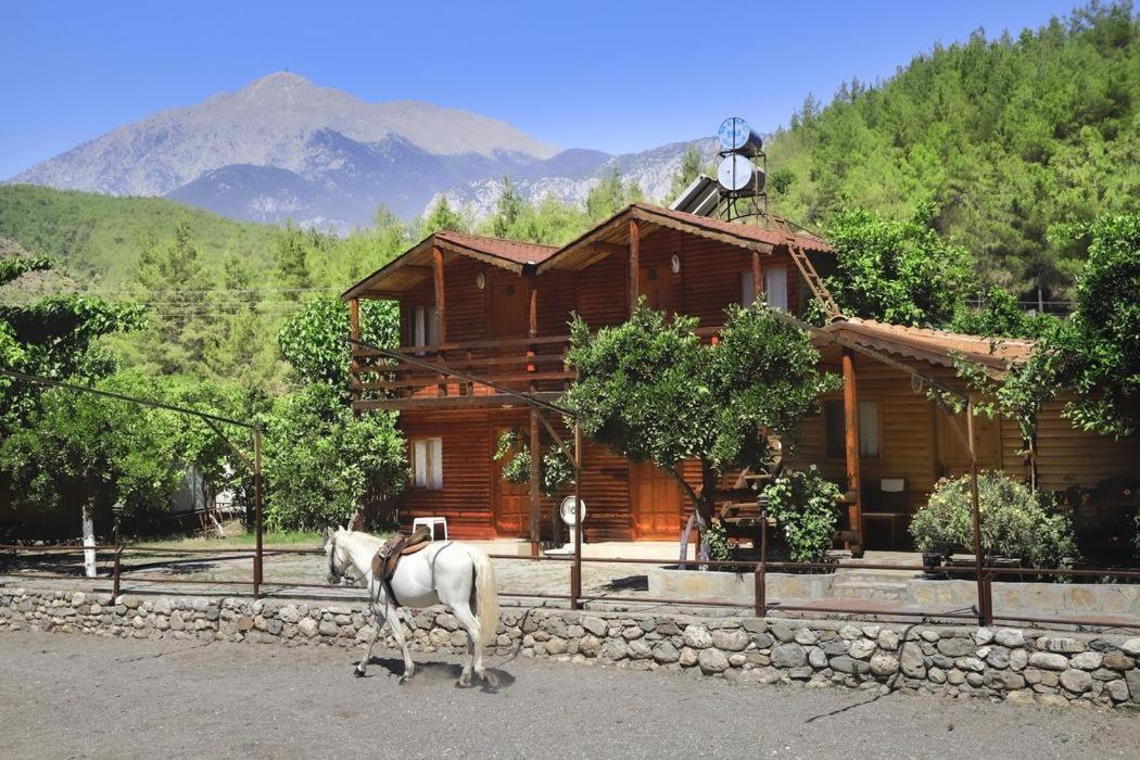 Oranj Ranch Hotel كمر المظهر الخارجي الصورة