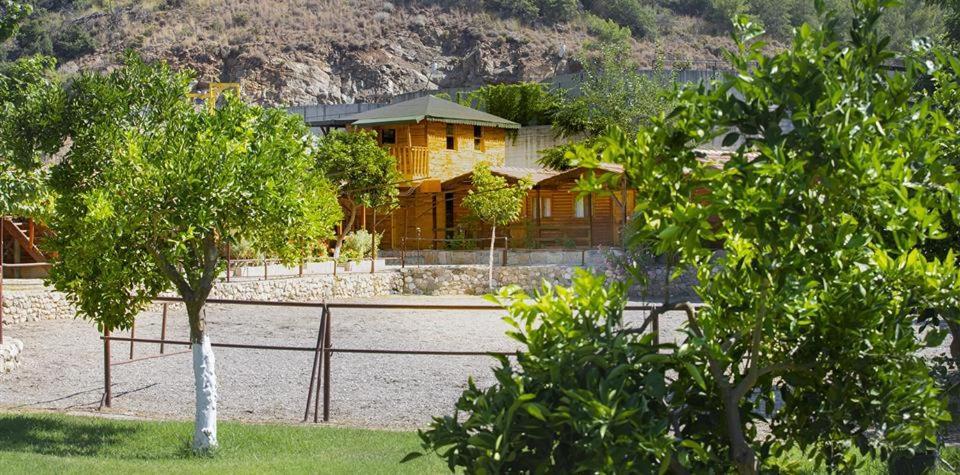 Oranj Ranch Hotel كمر المظهر الخارجي الصورة