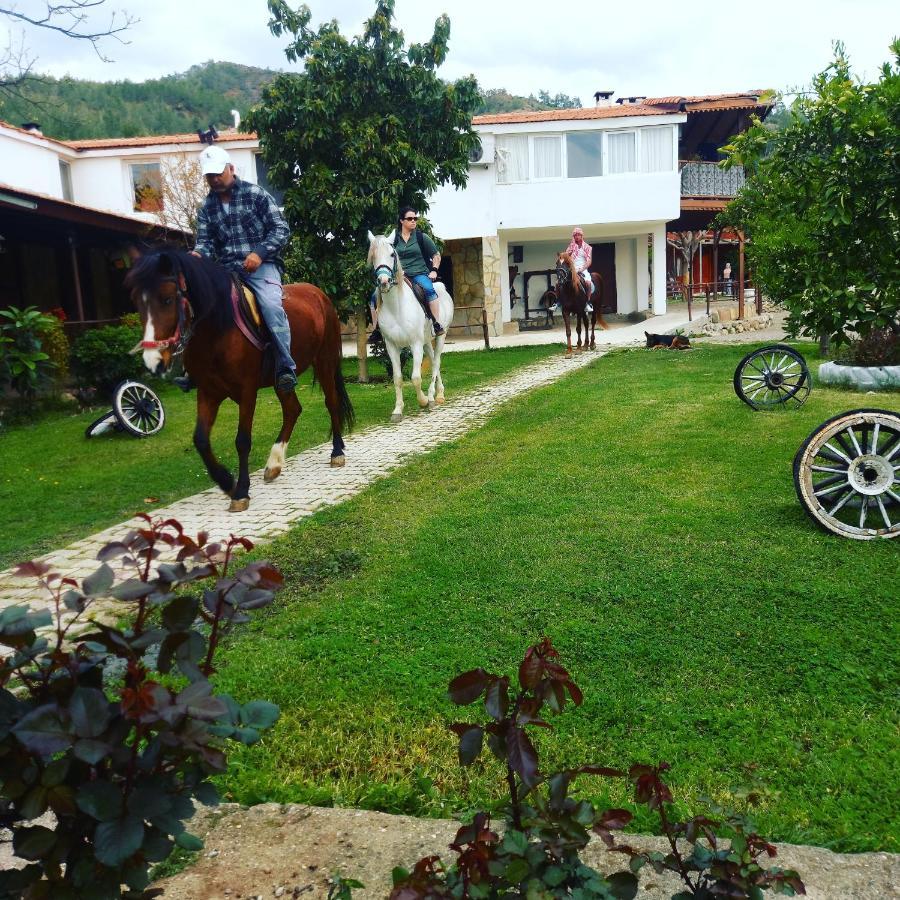 Oranj Ranch Hotel كمر المظهر الخارجي الصورة