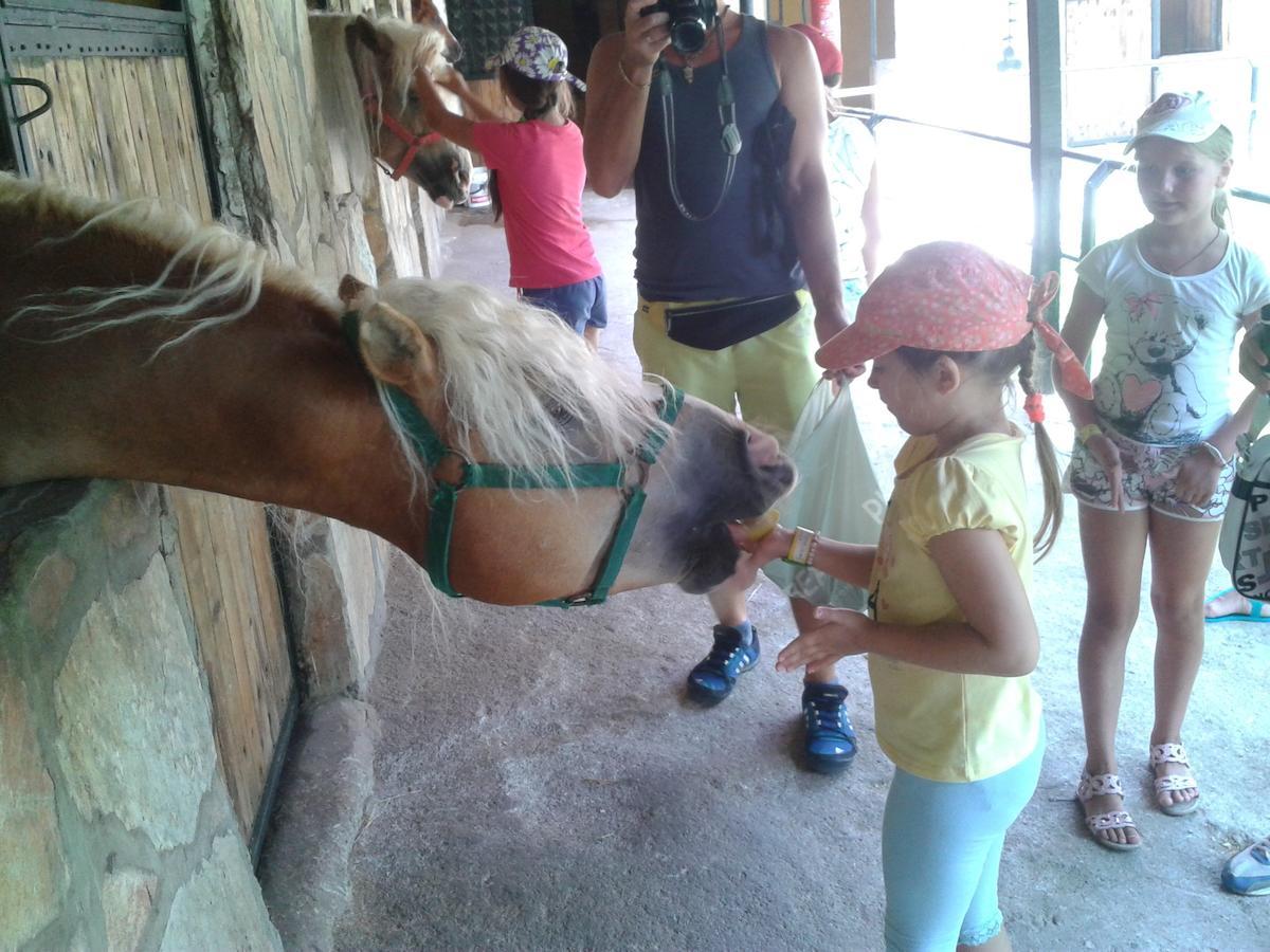 Oranj Ranch Hotel كمر المظهر الخارجي الصورة