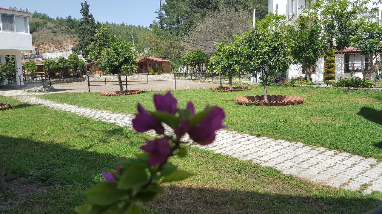 Oranj Ranch Hotel كمر المظهر الخارجي الصورة