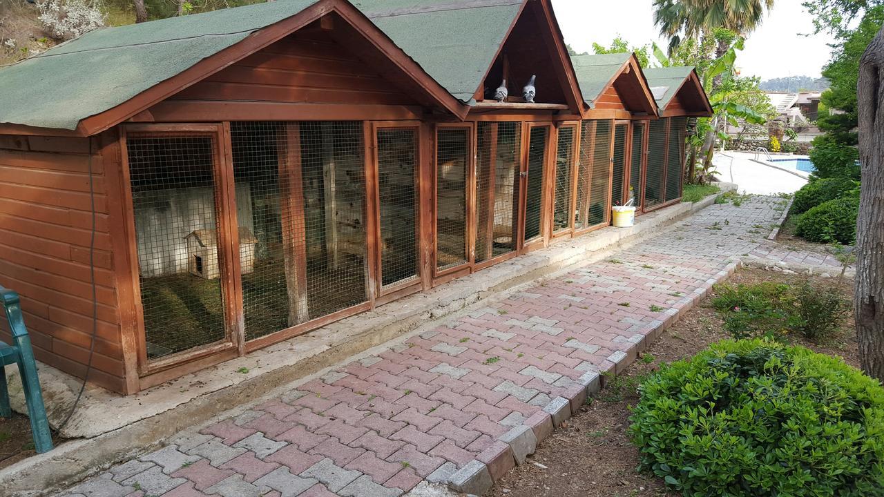 Oranj Ranch Hotel كمر المظهر الخارجي الصورة