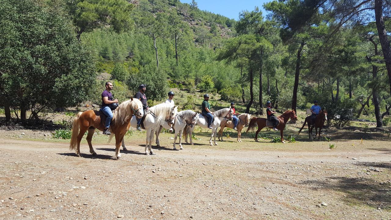 Oranj Ranch Hotel كمر المظهر الخارجي الصورة