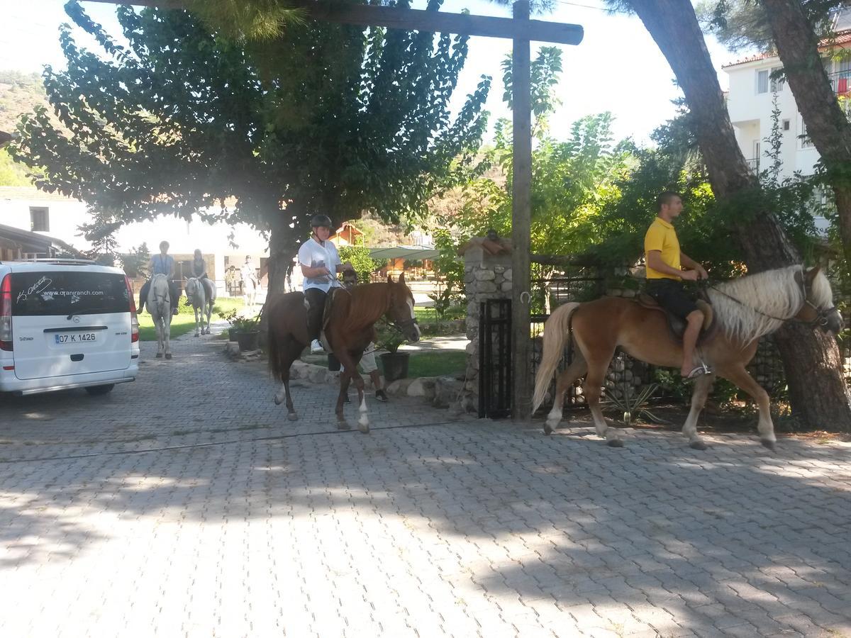 Oranj Ranch Hotel كمر المظهر الخارجي الصورة
