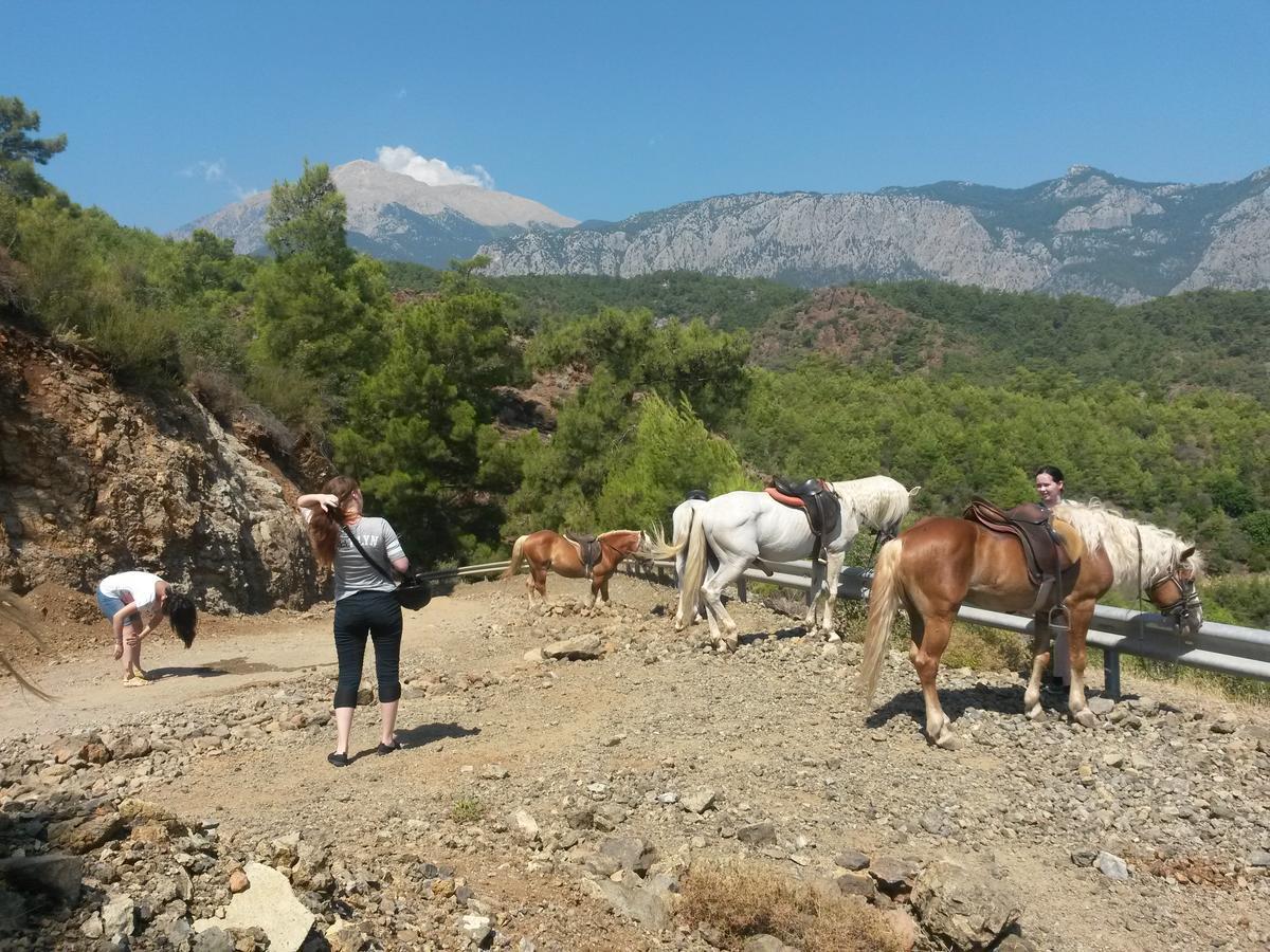 Oranj Ranch Hotel كمر المظهر الخارجي الصورة