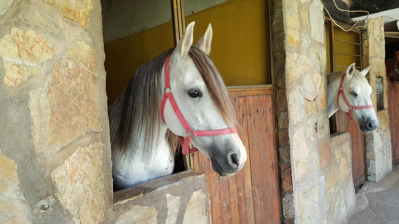 Oranj Ranch Hotel كمر المظهر الخارجي الصورة