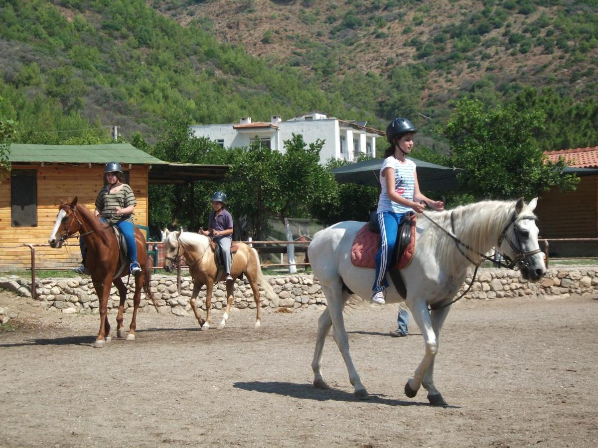 Oranj Ranch Hotel كمر المظهر الخارجي الصورة