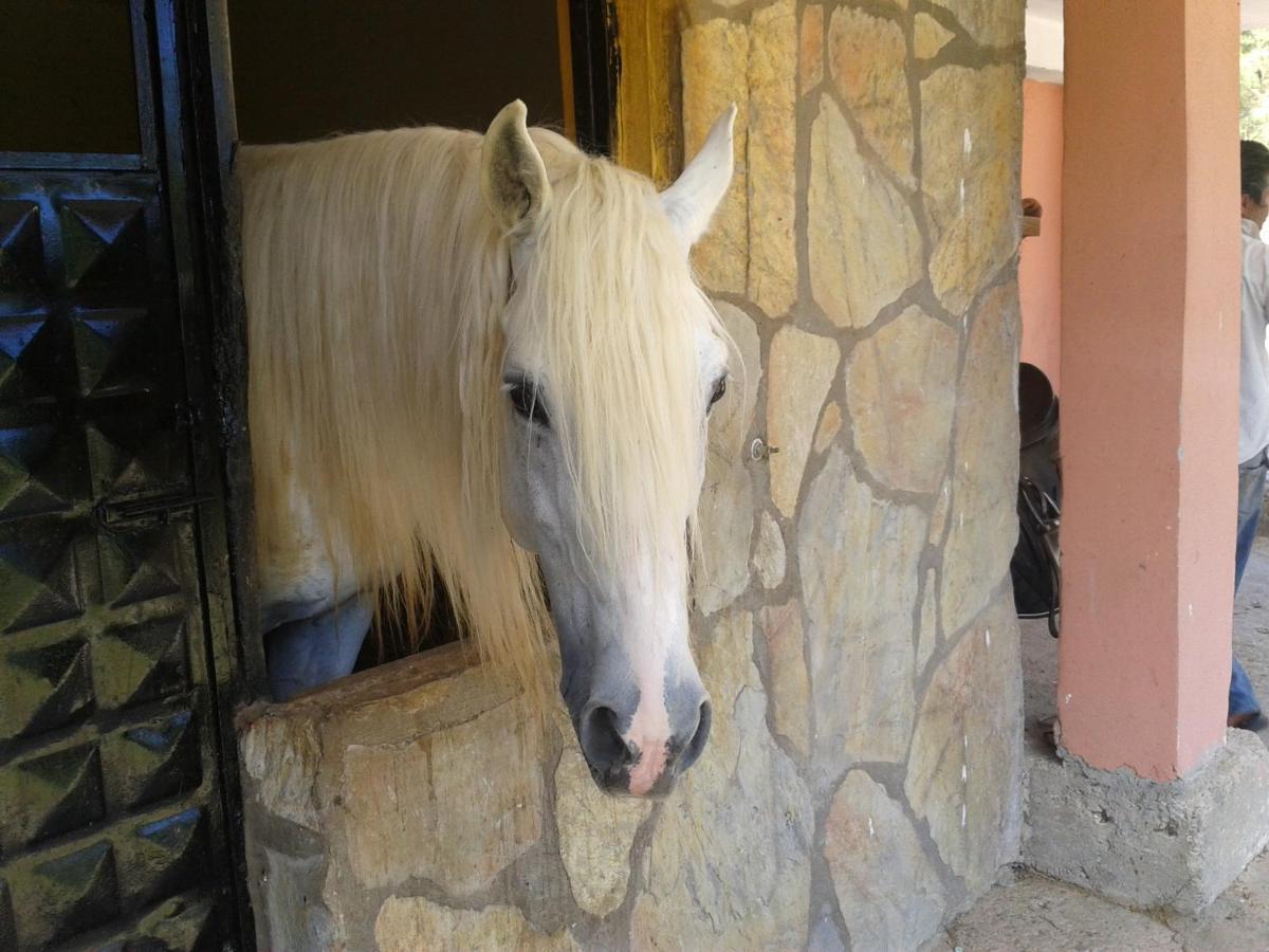 Oranj Ranch Hotel كمر المظهر الخارجي الصورة